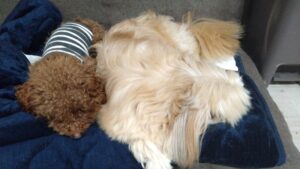 夜のお時間　2025/12/21