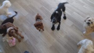 午前のお時間　2025/12/22