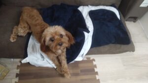 夜のお時間　2025/12/22