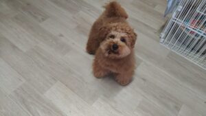 午前のお時間　2025/12/23