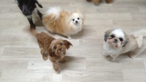 夜のお時間　2025/12/23