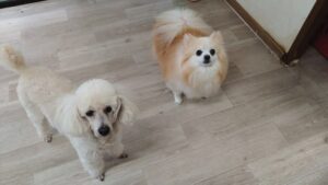 午前のお時間　2025/12/24