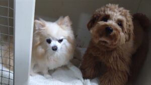 夜のお時間　2025/12/24