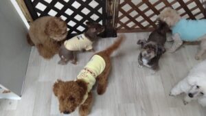 日中のお時間　2025/12/25