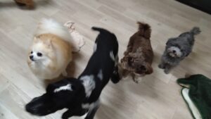 夜のお時間　2025/12/25