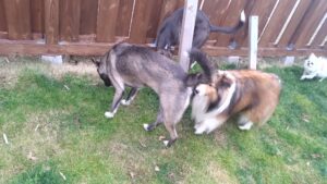 日中のお時間　2025/12/26