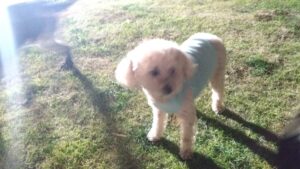 夜のお時間　2025/12/26