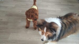 午前のお時間　2025/12/27