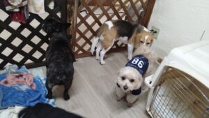 夜のお時間　2025/12/27