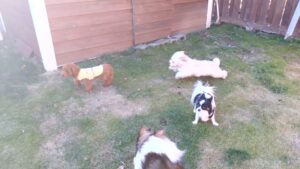 日中のお時間　2025/12/28