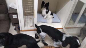 夜のお時間　2025/12/28