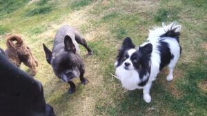 午前のお時間　2025/12/29