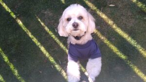 午前のお時間　2025/12/30