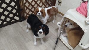 夜のお時間　2025/12/30