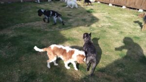 午前のお時間　2025/12/31