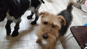 あけました　2026/1/1