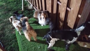 夜のお時間 2026/1/1