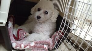 午前のお時間　2026/1/2