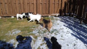 午前のお時間　2026/1/3