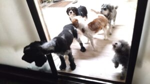 夜のお時間　2026/1/3