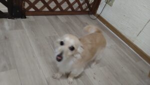 夜のお時間　2026/1/4