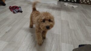 夜のお時間　2026/1/5