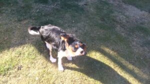 午前のお時間　2026/1/6