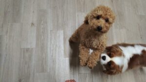 夜のお時間　2026/1/6