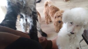 午前のお時間　2026/1/7