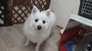 夜のお時間　2026/1/7