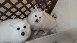 午前のお時間　2026/1/8