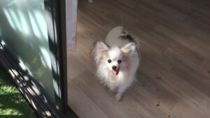 午前のお時間　2026/1/9