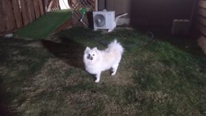 夜のお時間　2026/1/9