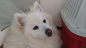 午前のお時間　2026/1/10