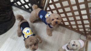 夜のお時間　2026/1/10