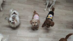 夜のお時間　2026/1/11