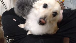 午前のお時間　2026/1/1