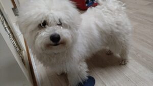 夜のお時間　2026/1/12