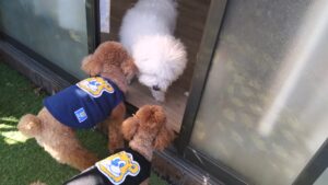 午前のお時間　2026/1/13