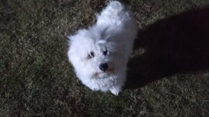 夜のお時間　2026/1/13