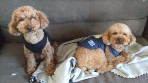 午前のお時間　2026/1/14