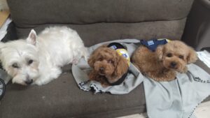 夜のお時間　2026/1/14