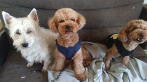 午前のお時間　2026/1/15