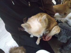 夜のお時間　2026/1/15