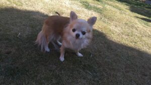 午前のお時間　2026/1/16