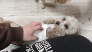 夜のお時間　2026/1/16