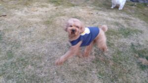 午前のお時間　2026/1/17