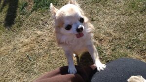 朝のお時間　2026/1/18