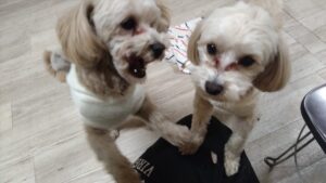 夜のお時間　2026/1/18