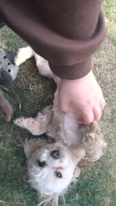 午前のお時間　2026/1/19